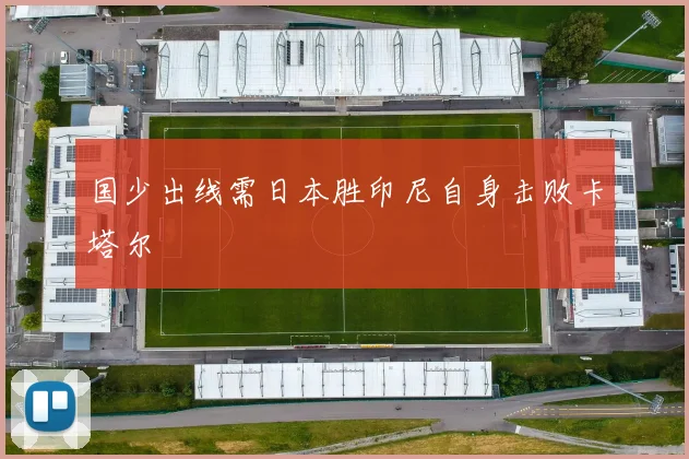 国少出线需日本胜印尼自身击败卡塔尔